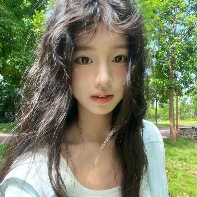 森林泰山2